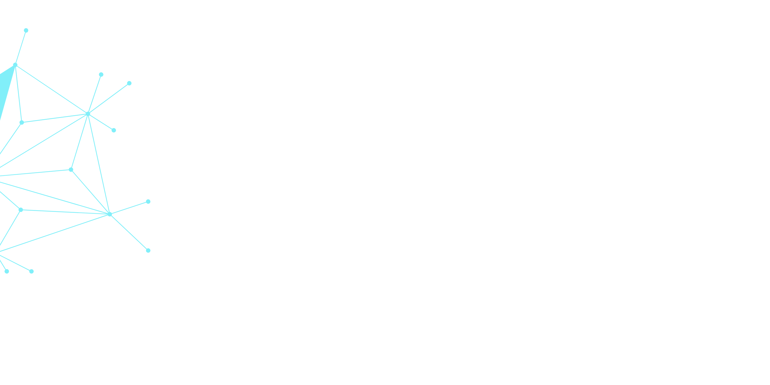 飾り1